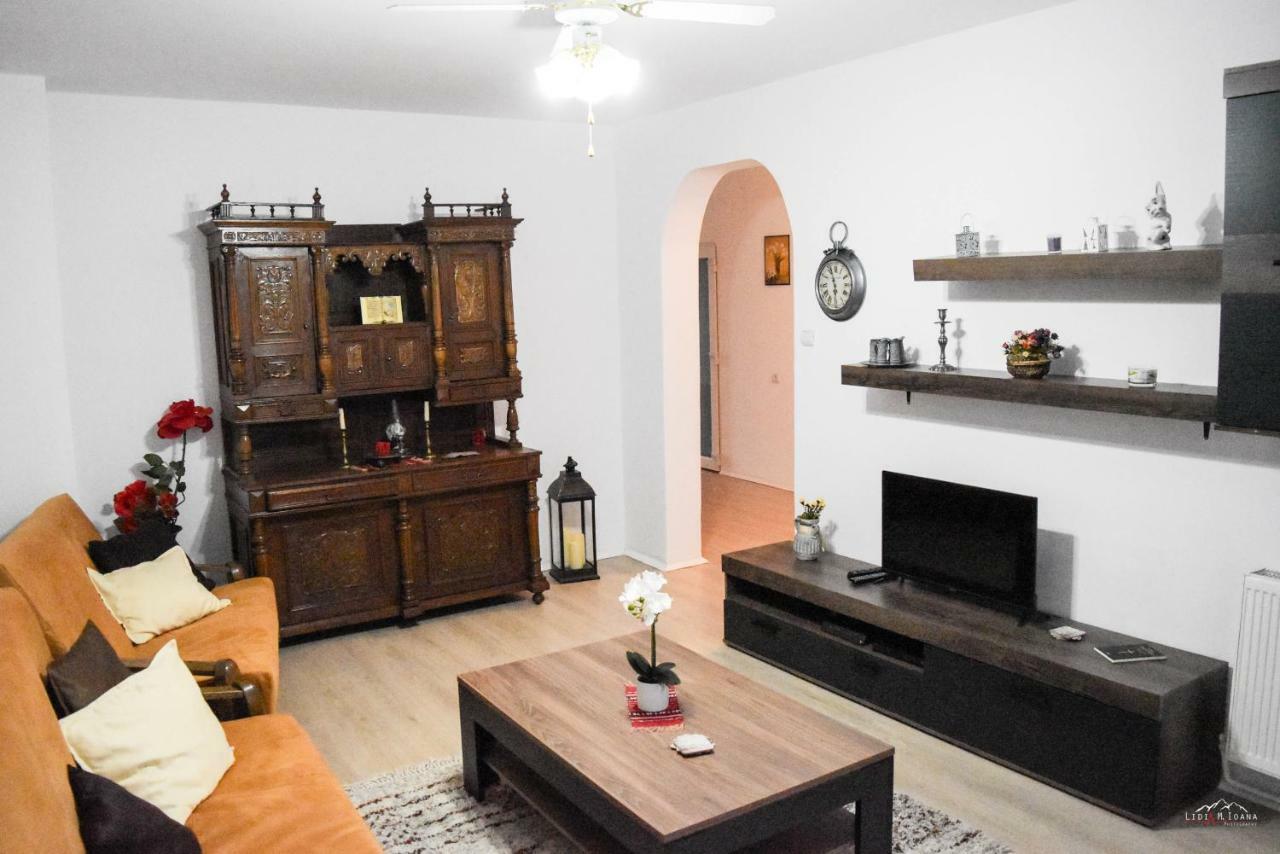 Spacious And Cozy 3Bd+Terrace Couples Apartment 蒂米什瓦拉 外观 照片