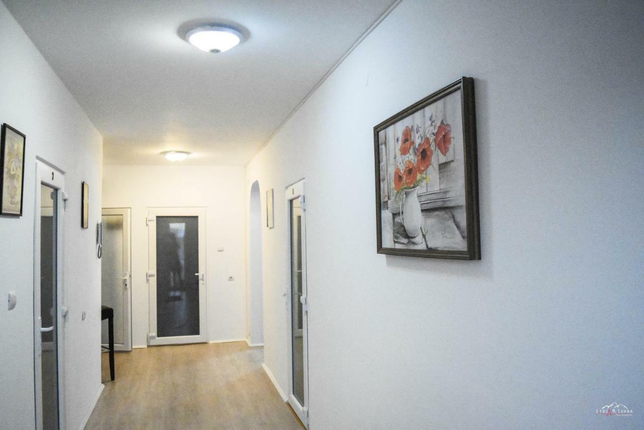 Spacious And Cozy 3Bd+Terrace Couples Apartment 蒂米什瓦拉 外观 照片