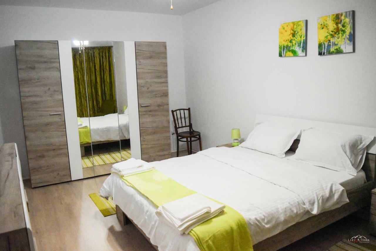 Spacious And Cozy 3Bd+Terrace Couples Apartment 蒂米什瓦拉 外观 照片